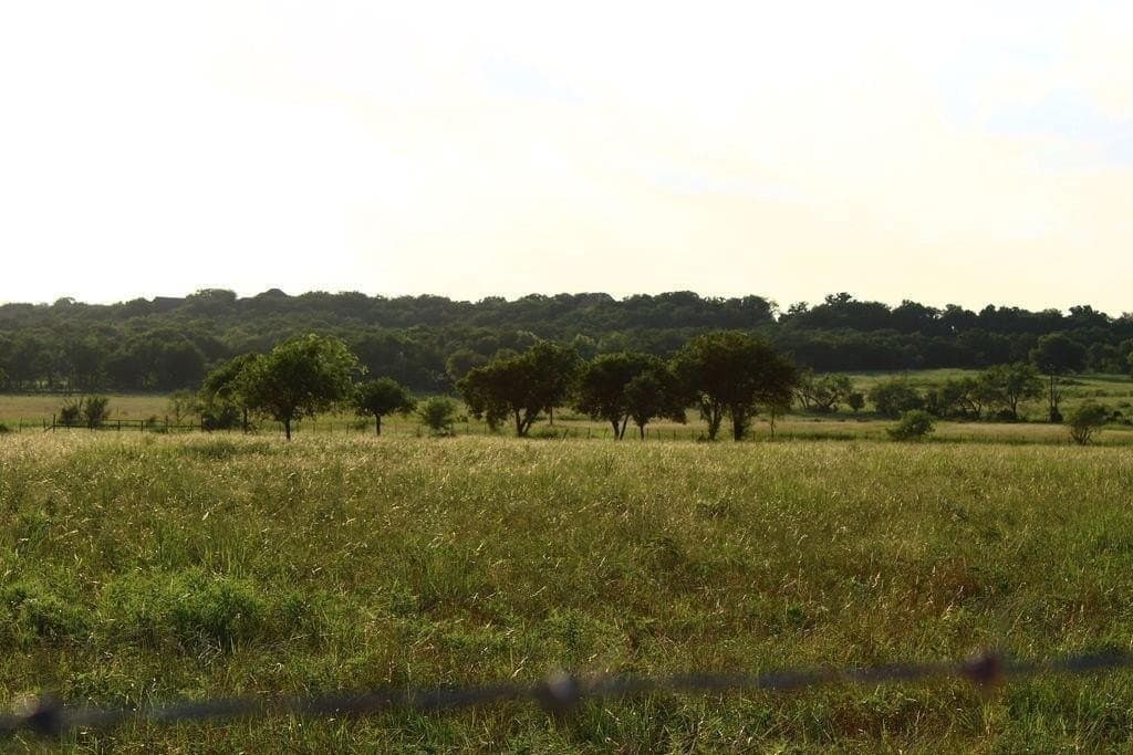 5.51 acres in Palo Pinto County - photo 6