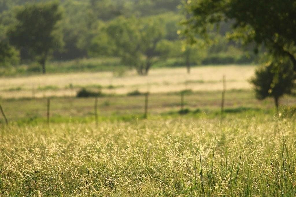 5.51 acres in Palo Pinto County - photo 3