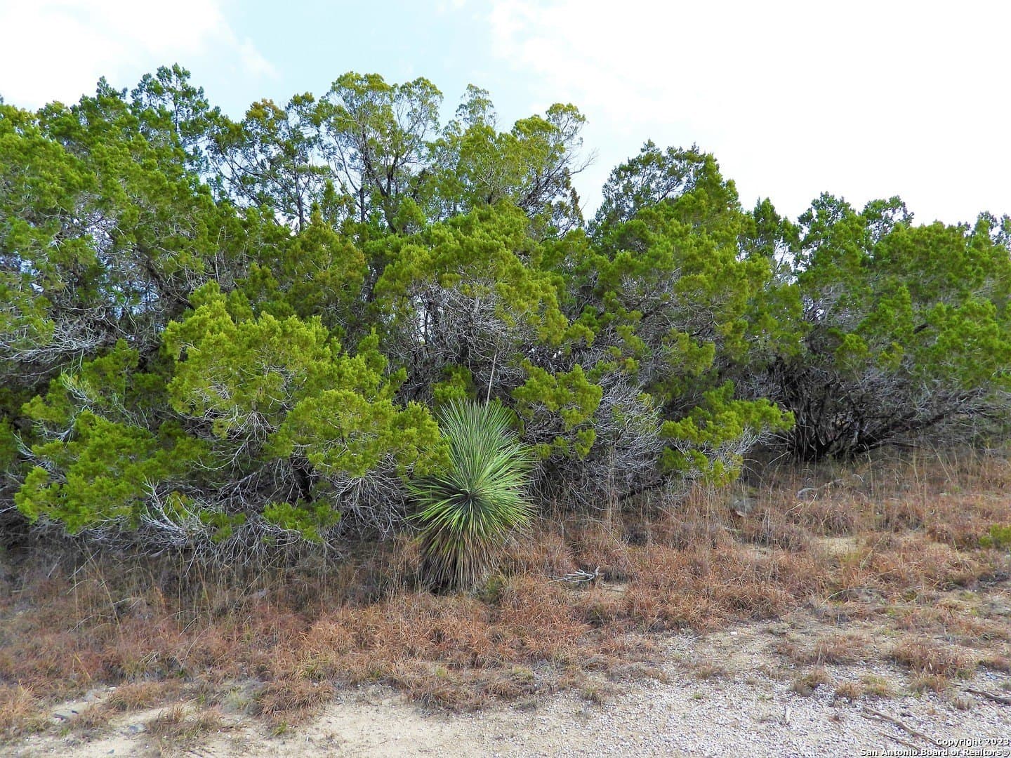 2.68 acres in Bandera County - photo 8