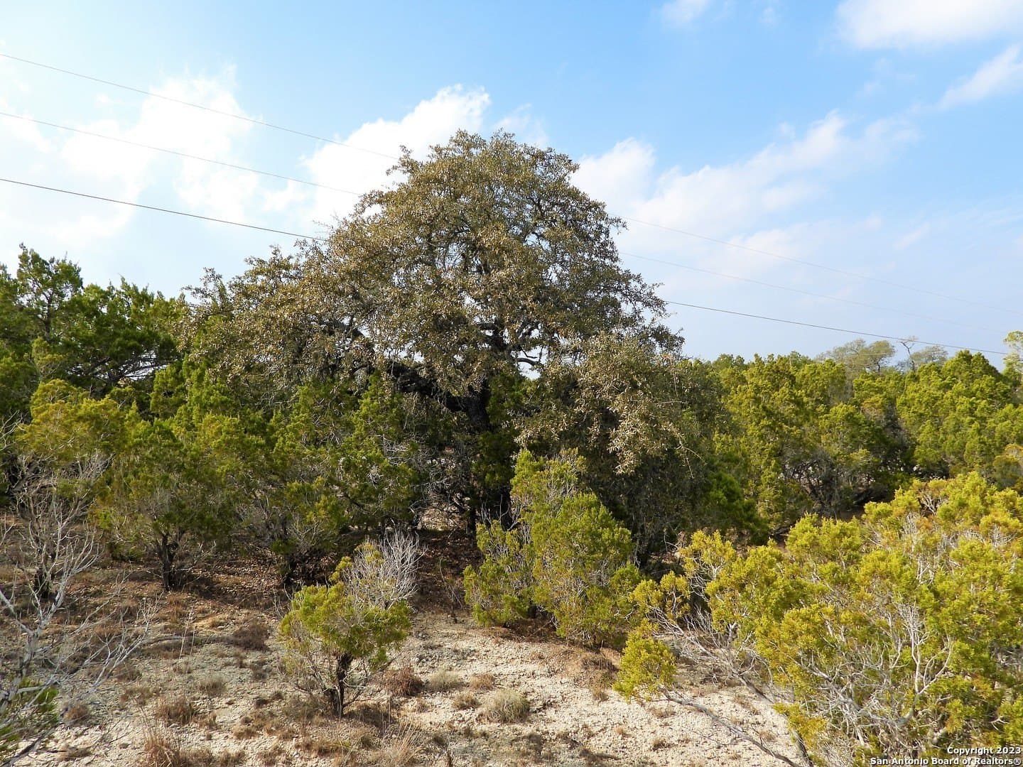 2.68 acres in Bandera County - photo 5