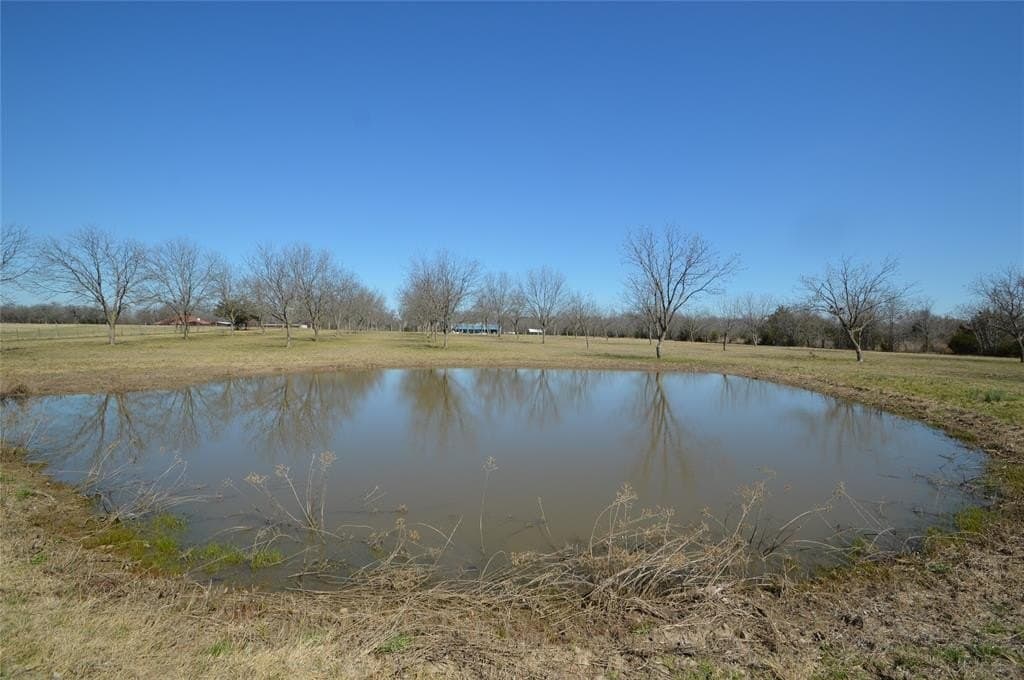10.23 acres in Rains County - photo 29