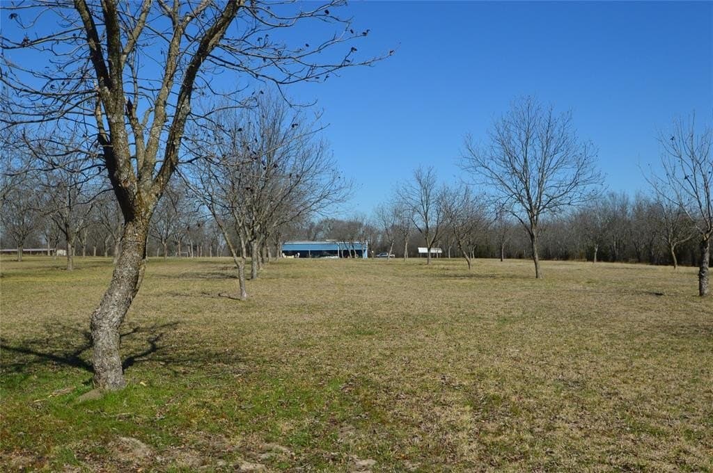 10.23 acres in Rains County - photo 30