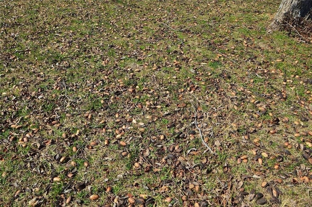 10.23 acres in Rains County - photo 31