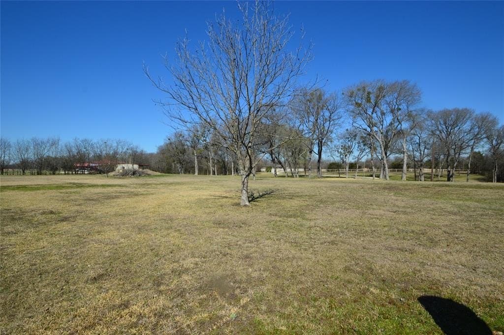 10.23 acres in Rains County - photo 25
