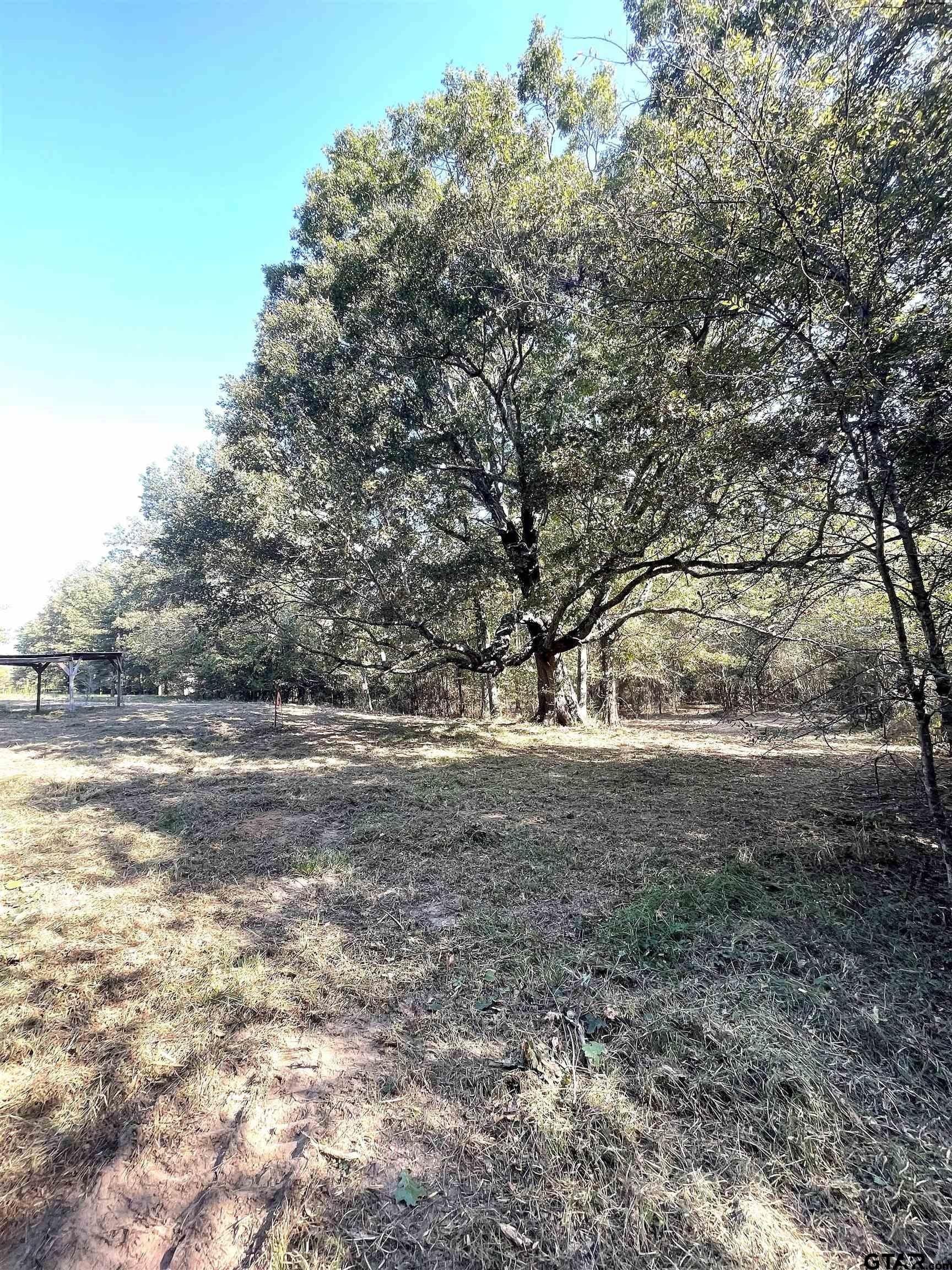 65.36 acres in Red River County - photo 7