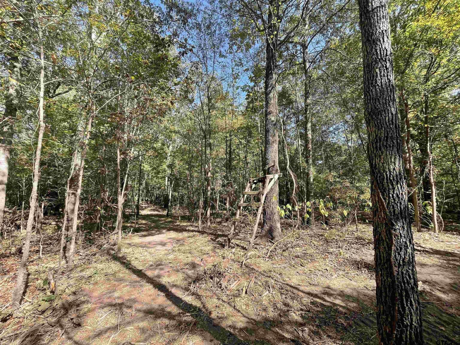 65.36 acres in Red River County - photo 10