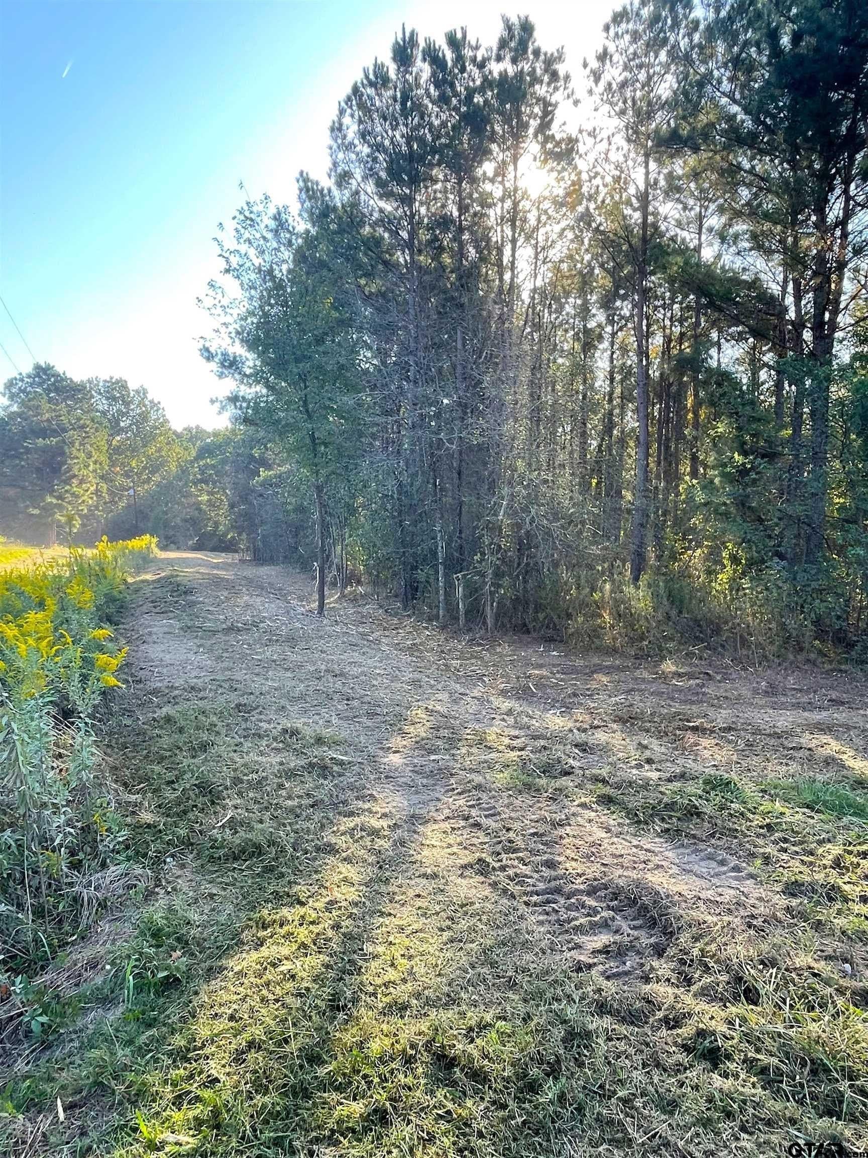 65.36 acres in Red River County - photo 2