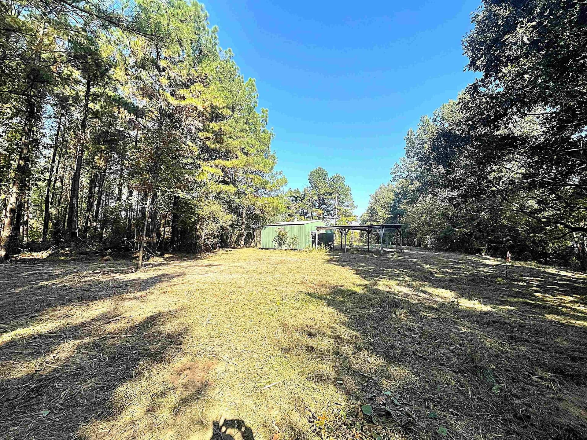65.36 acres in Red River County - photo 3