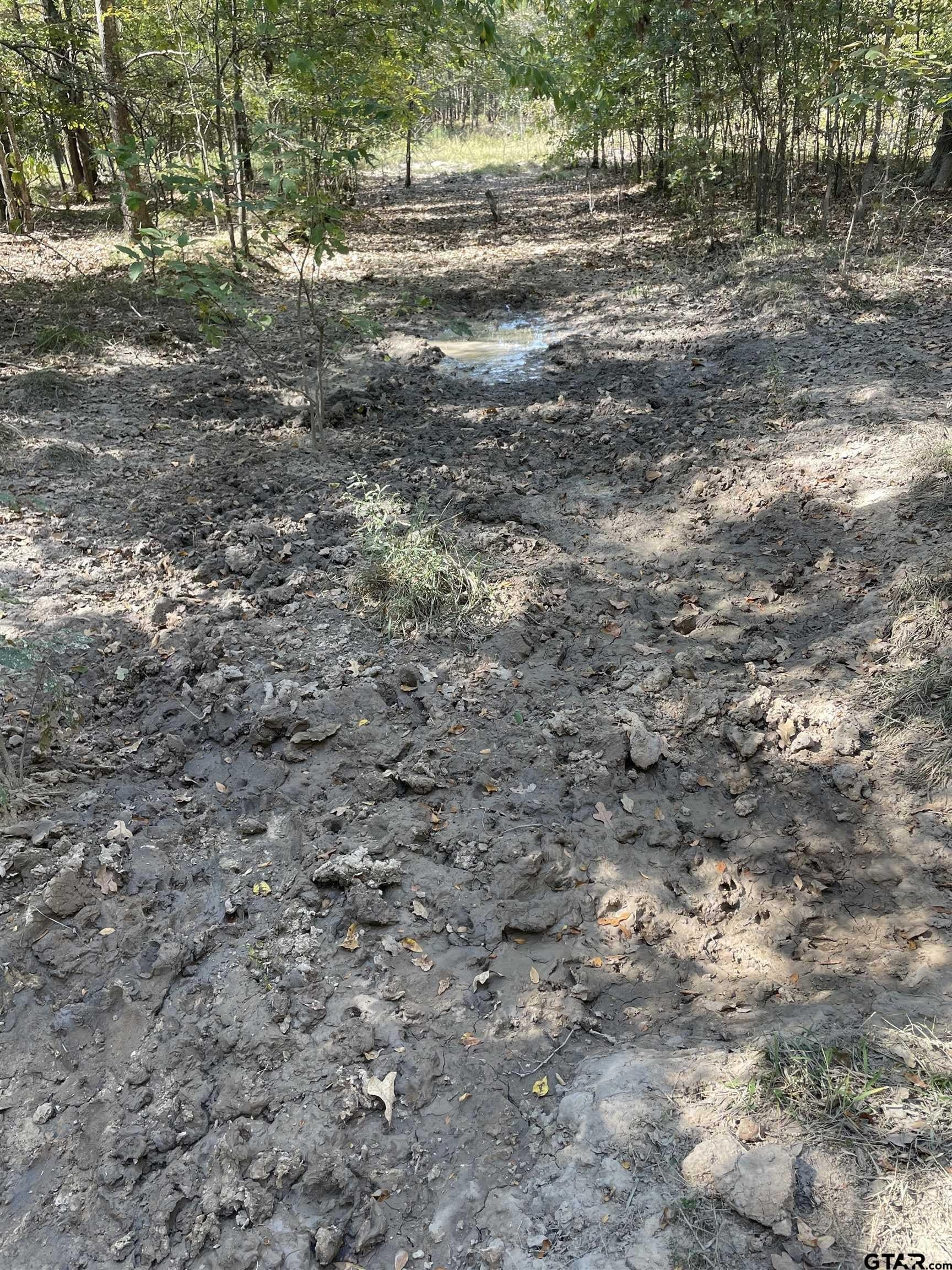 65.36 acres in Red River County - photo 11