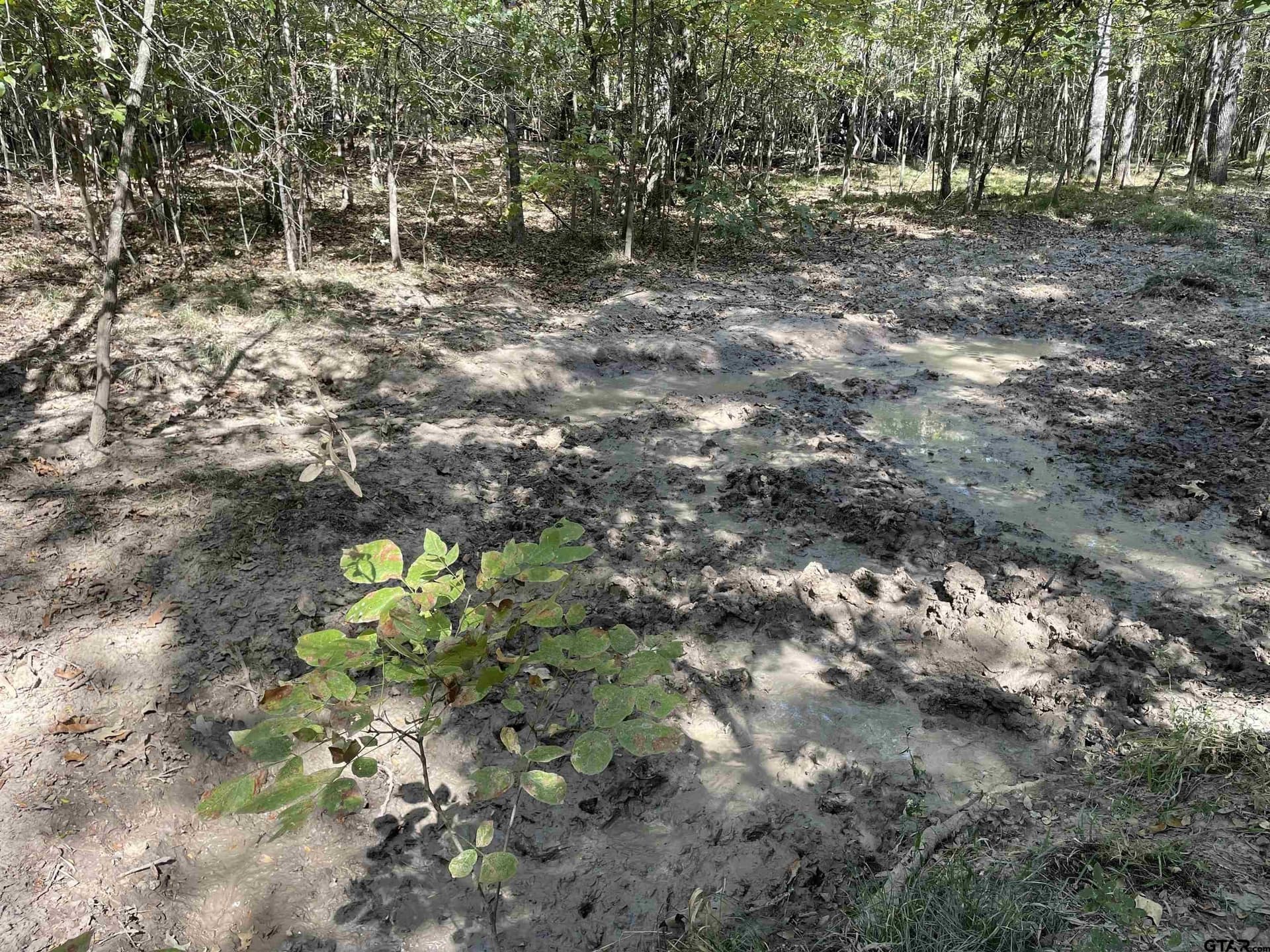 65.36 acres in Red River County - photo 12