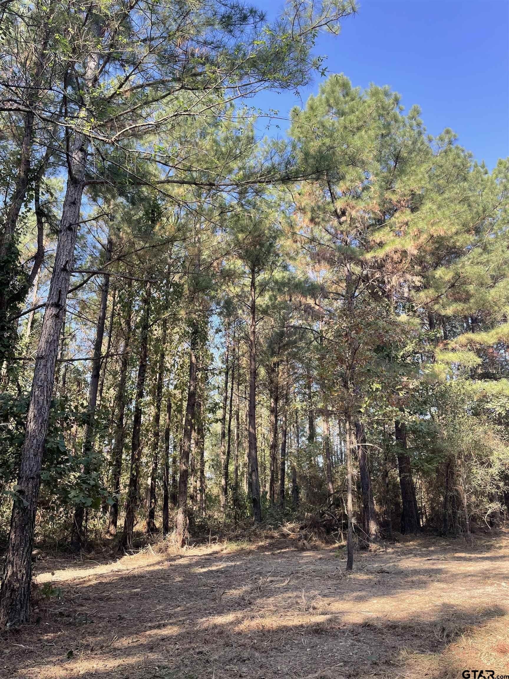 65.36 acres in Red River County - photo 8