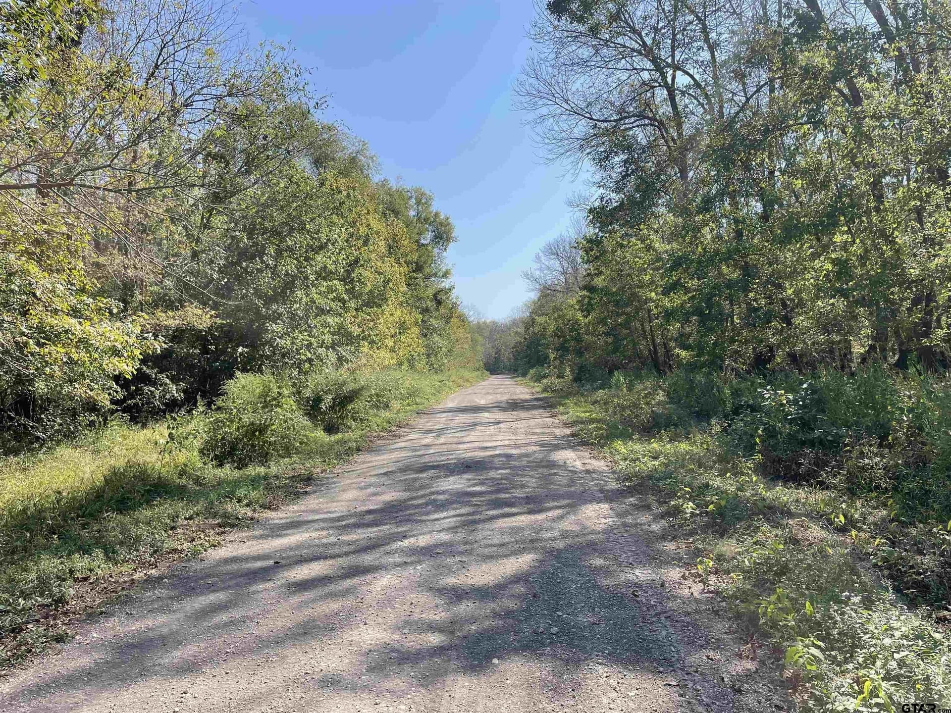 65.36 acres in Red River County - photo 9