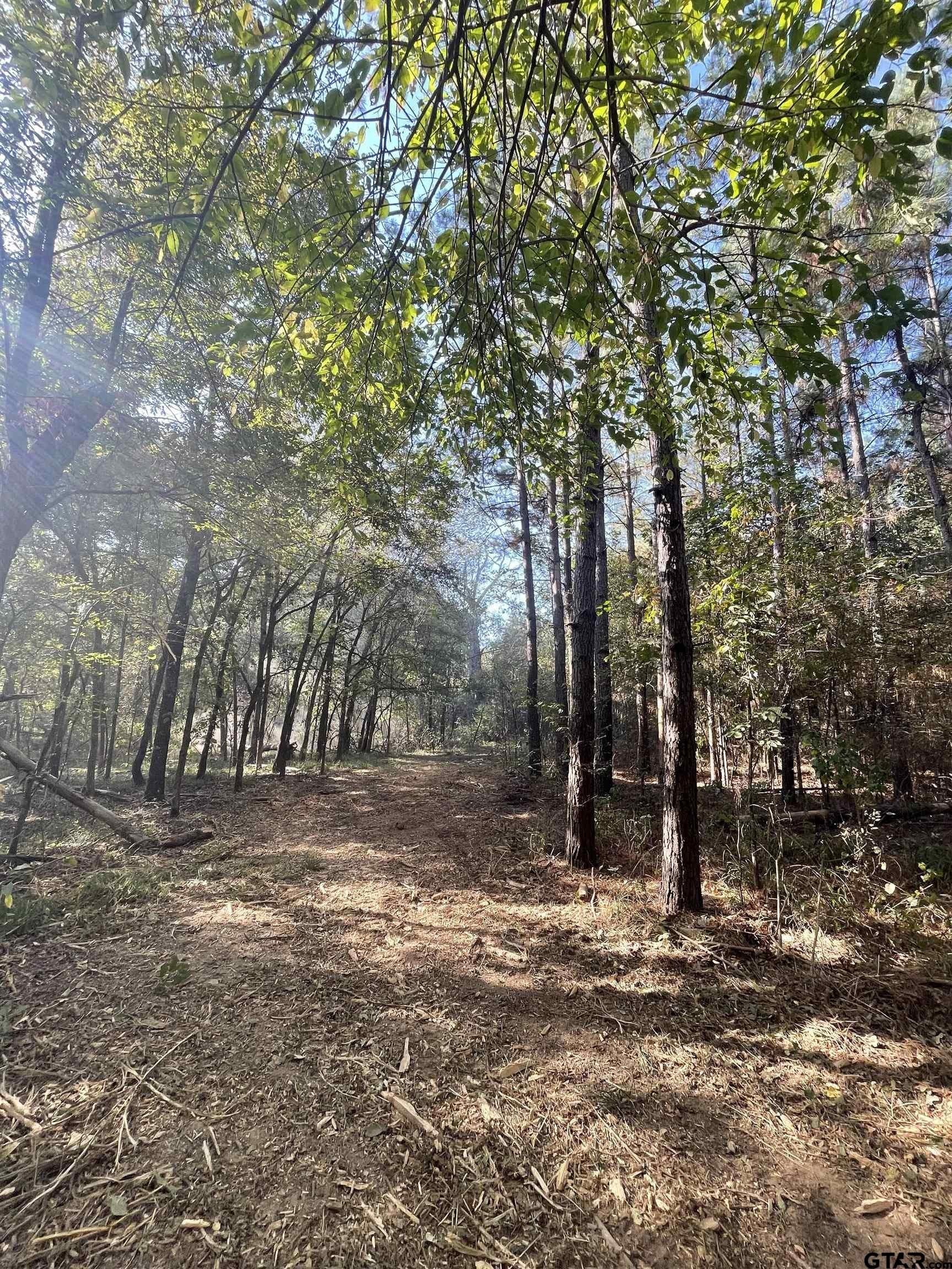 65.36 acres in Red River County - photo 6