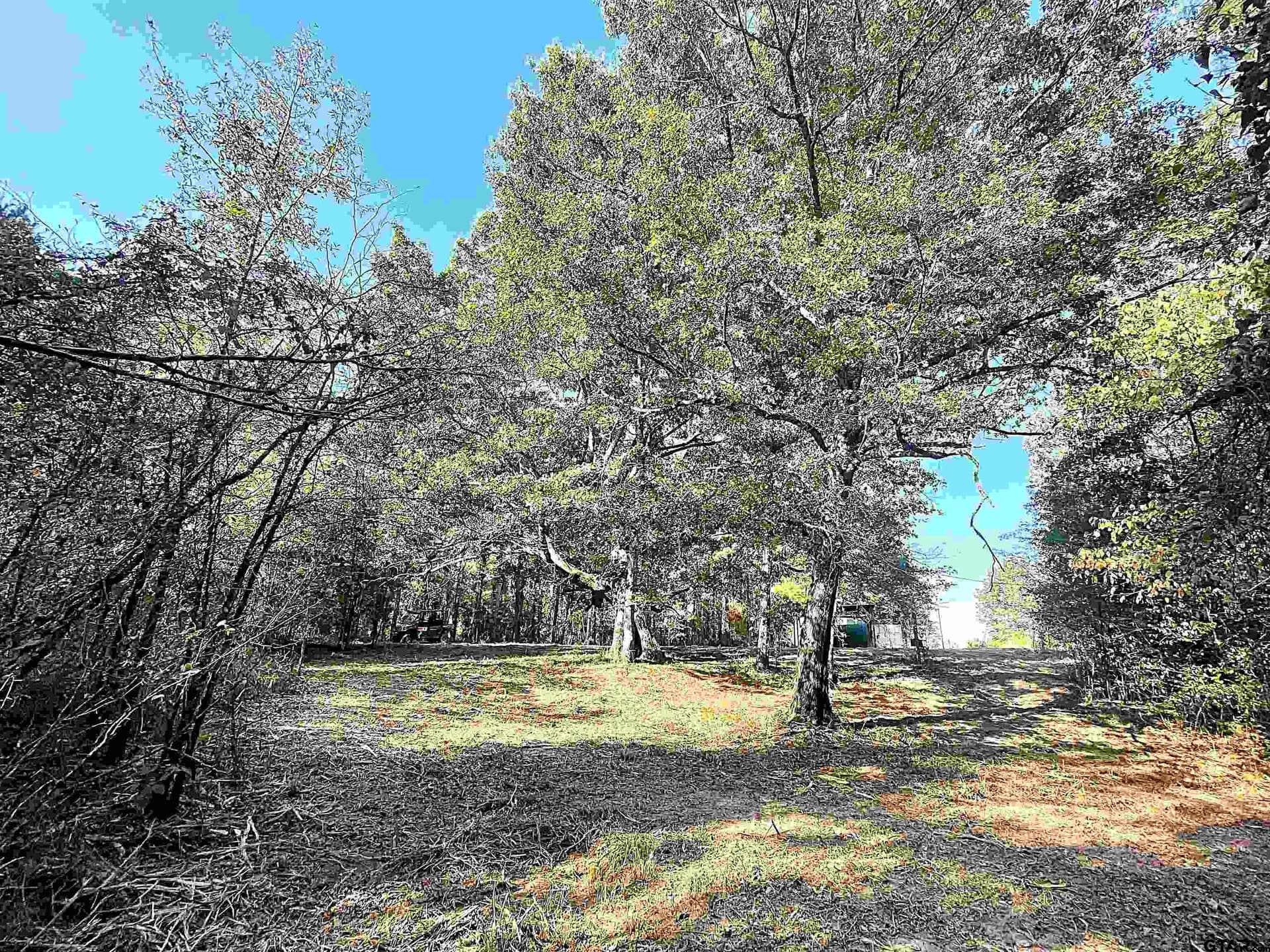 65.36 acres in Red River County - photo 5