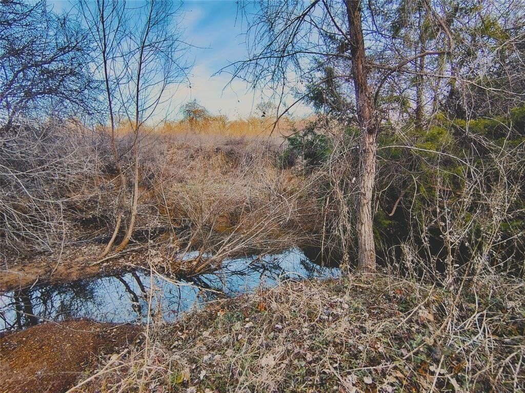 10.5 acres in Hill County - photo 15