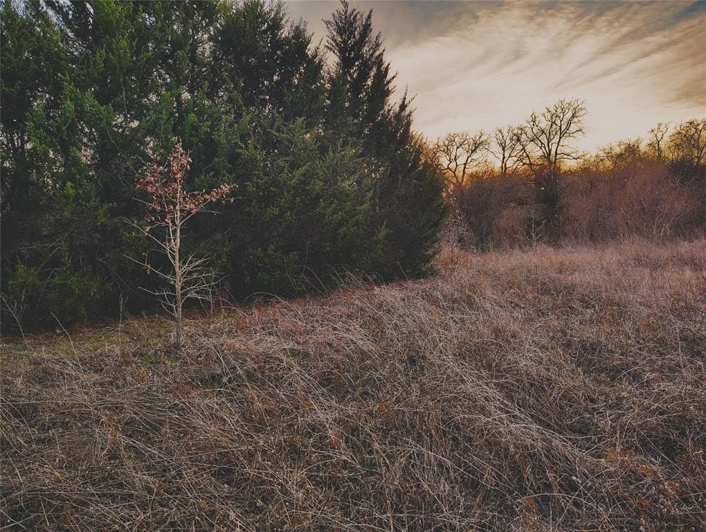 10.5 acres in Hill County - photo 16