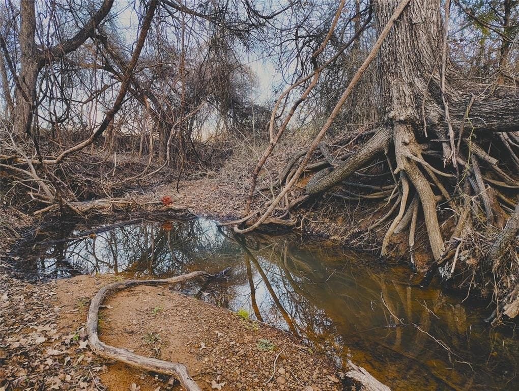 10.5 acres in Hill County - photo 14