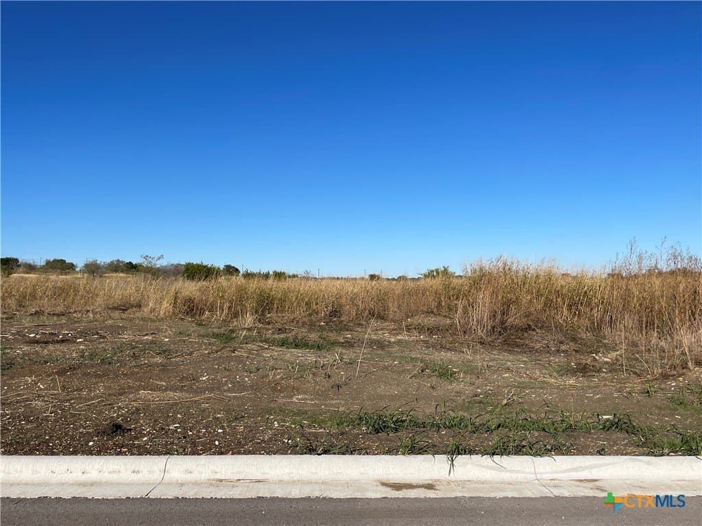 1843 Dorian Drive lot: 009
