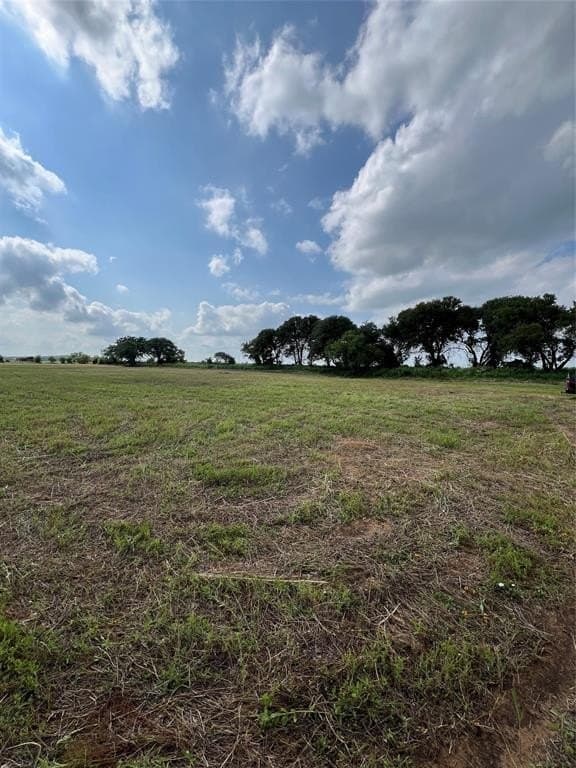 7.74 acres in Eastland County - photo 16