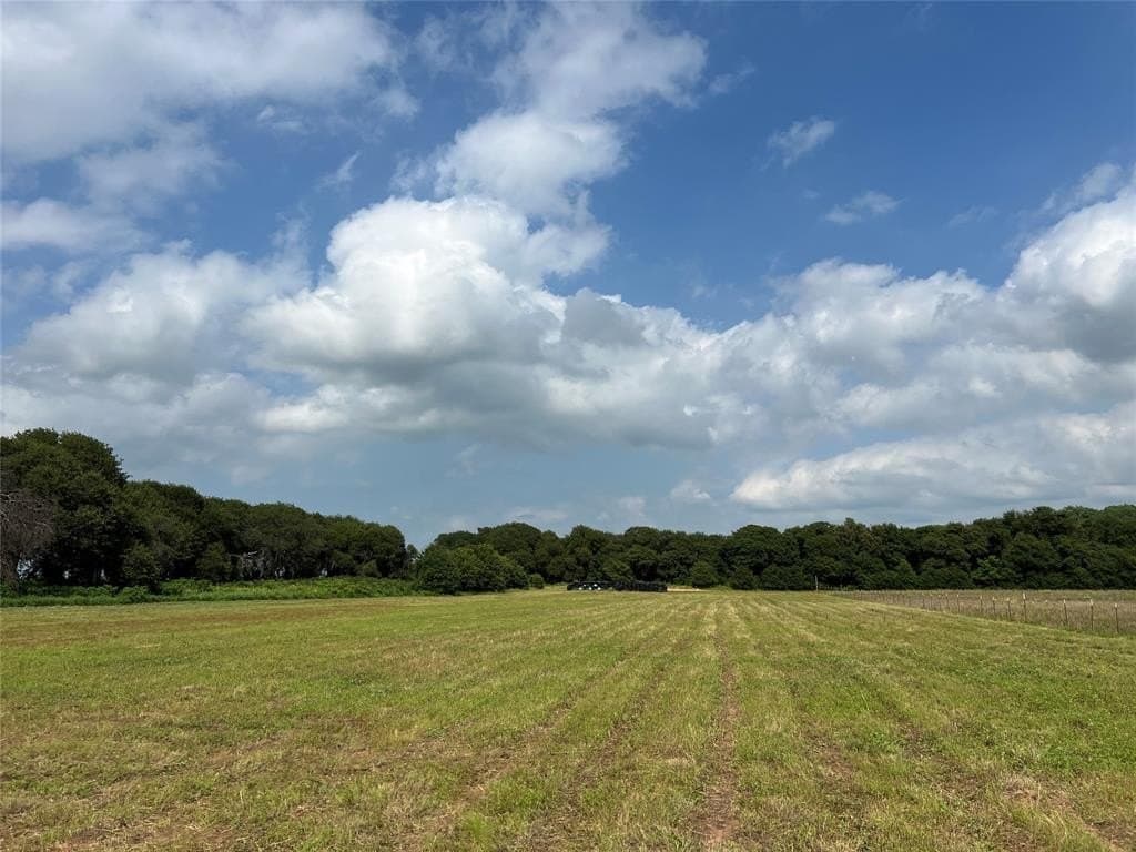 7.74 acres in Eastland County - photo 5