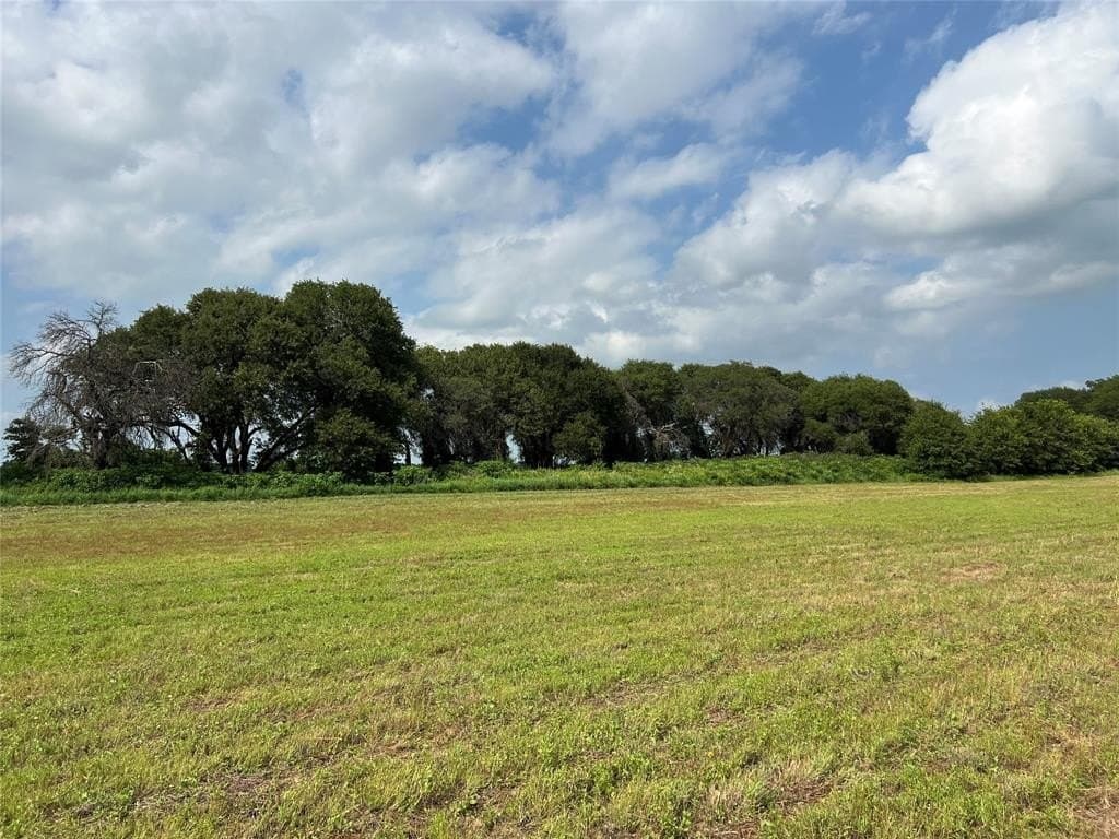 7.74 acres in Eastland County - photo 6