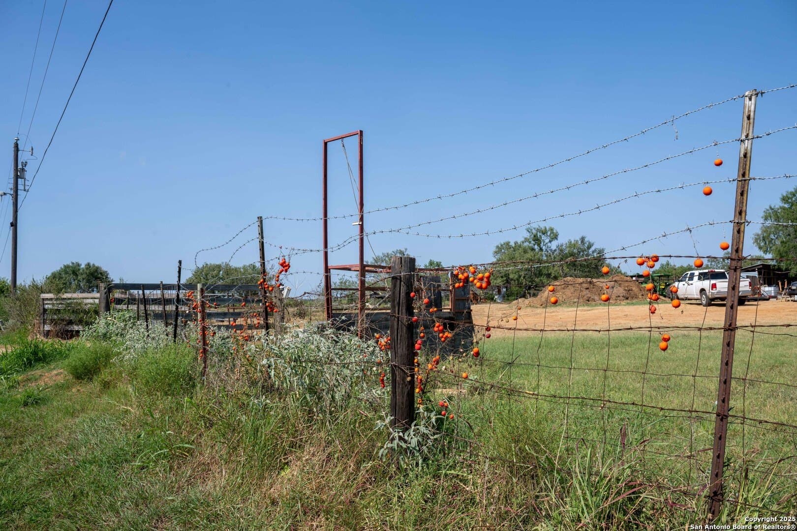 17 acres in Bexar County - photo 3