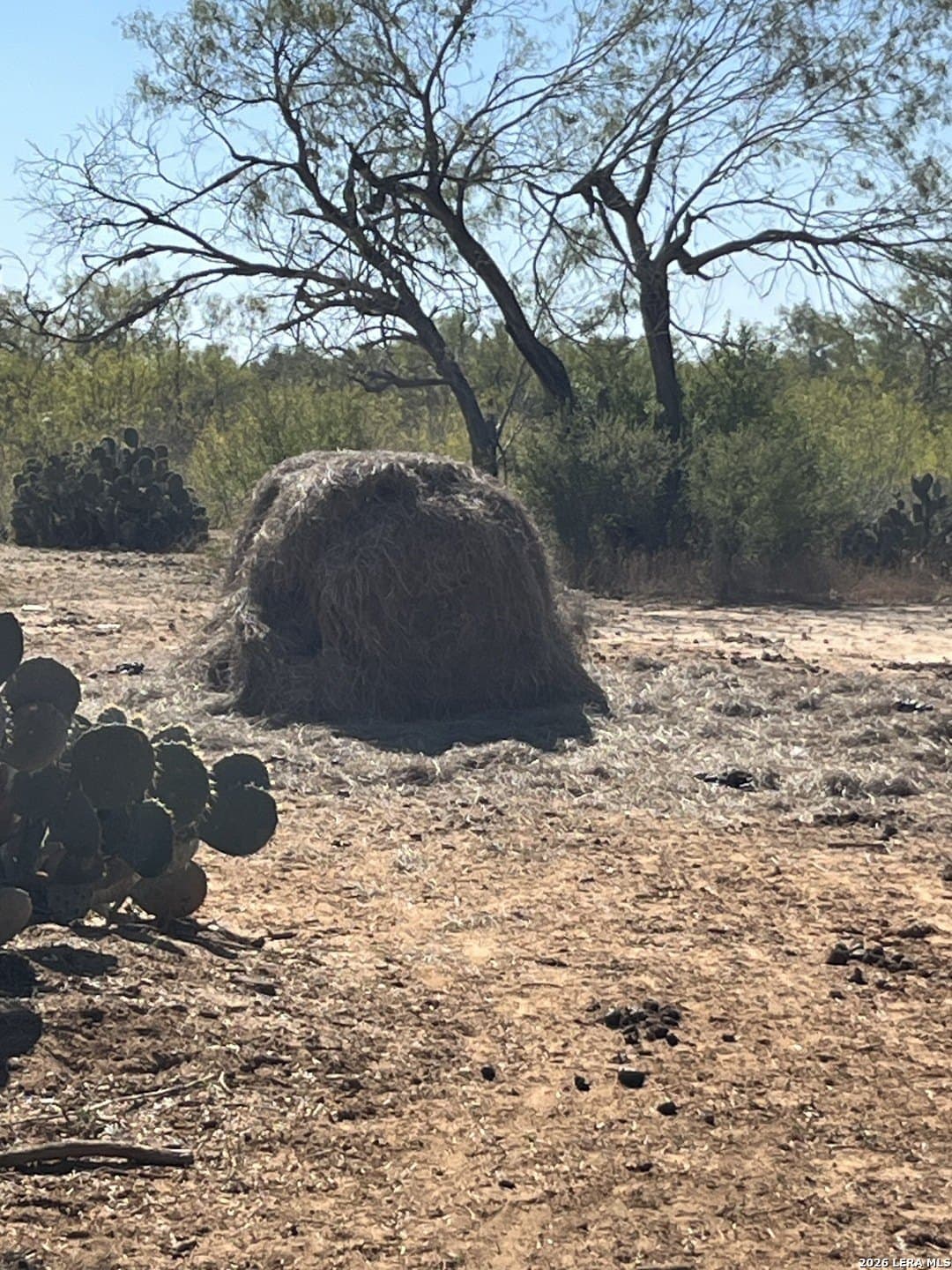 17 acres in Bexar County - photo 19