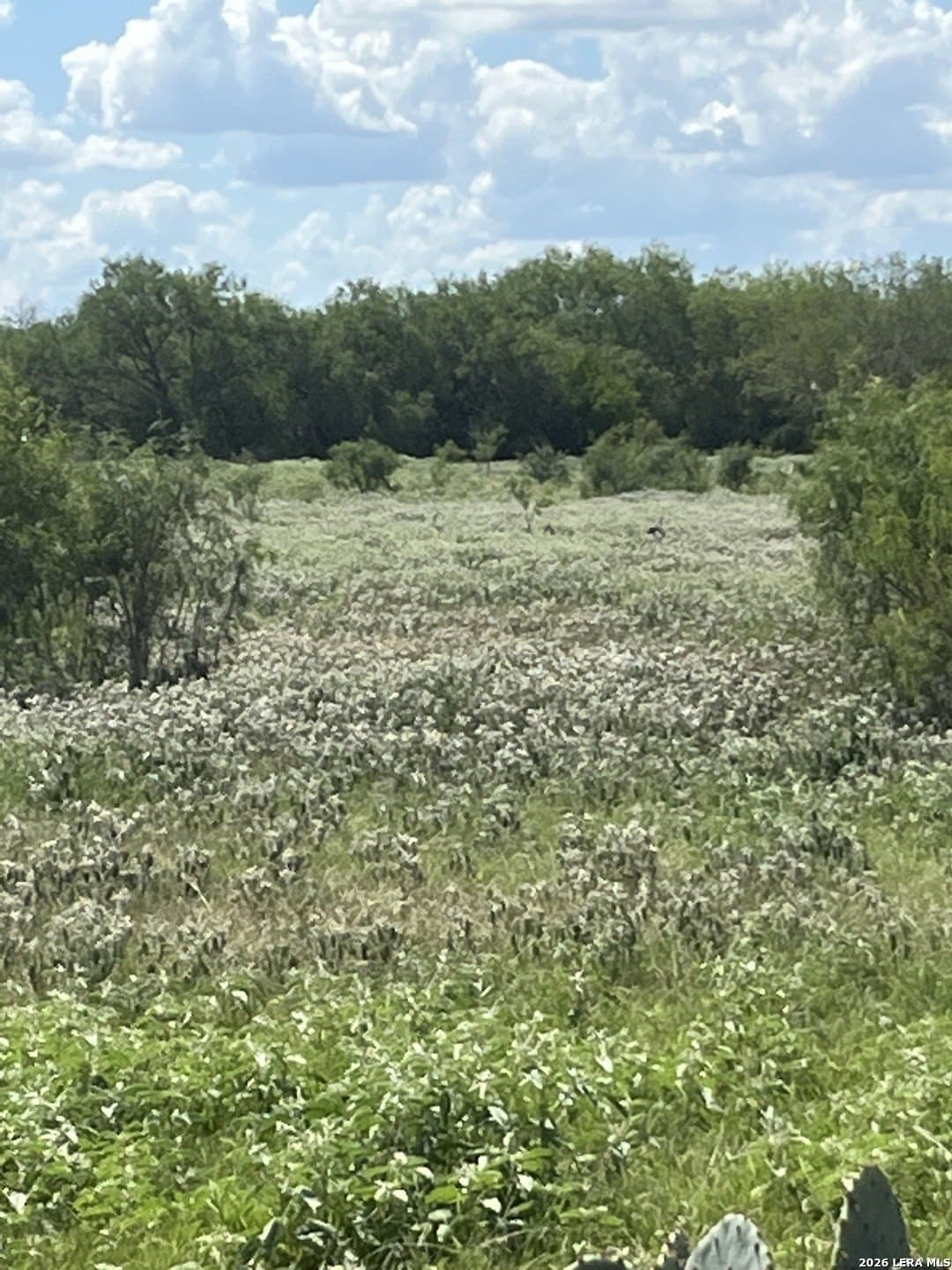 17 acres in Bexar County - photo 14