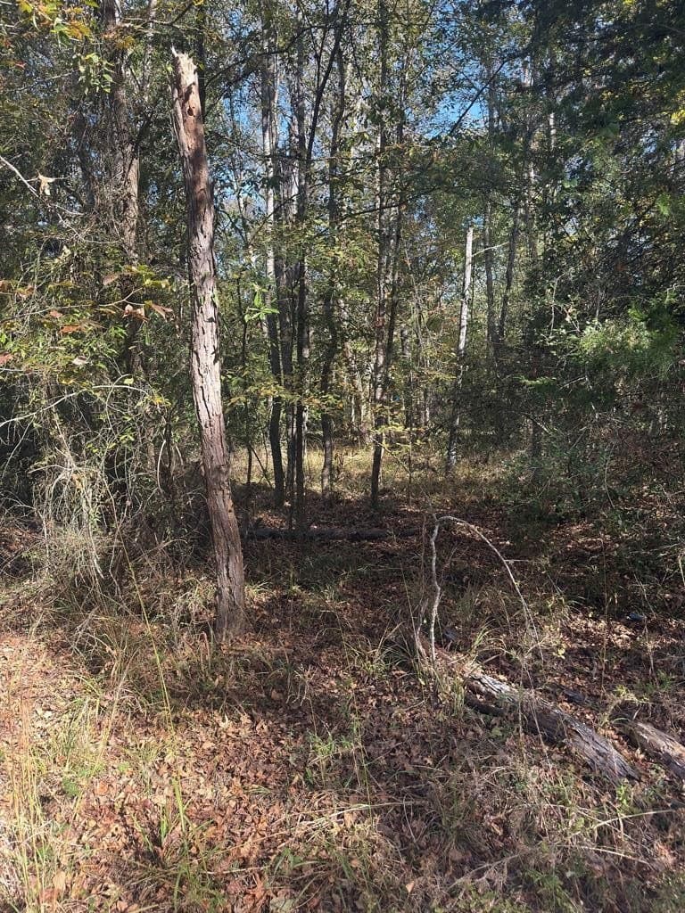 3.29 acres in ANDERSON County - photo 14