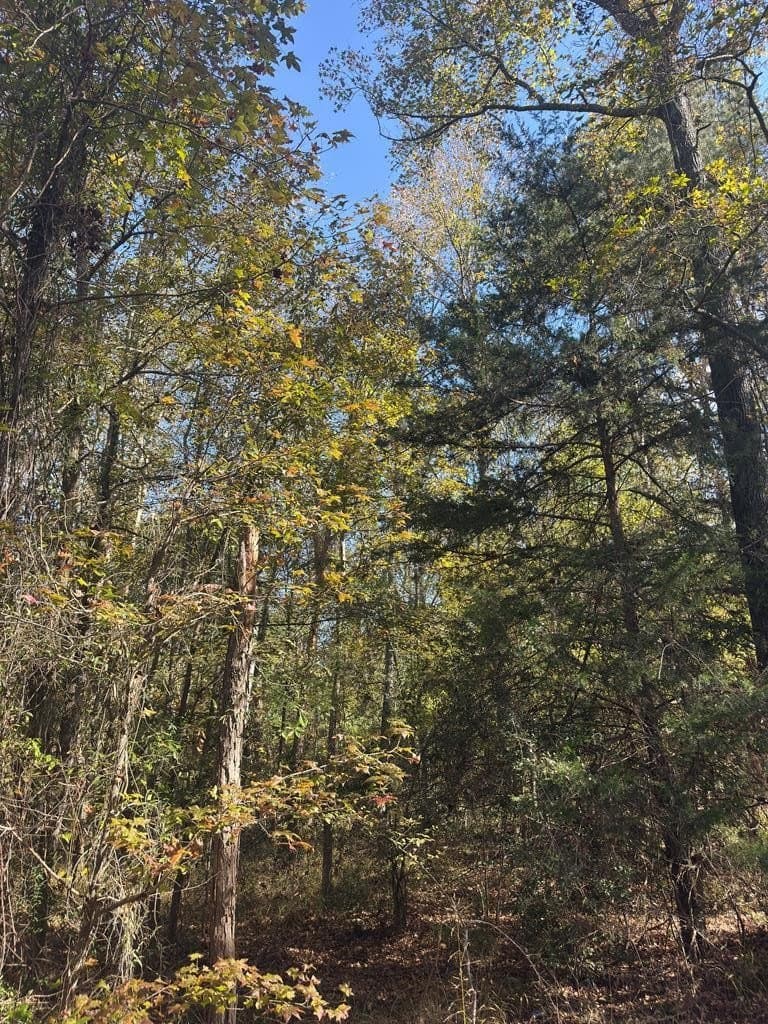 3.29 acres in ANDERSON County - photo 13