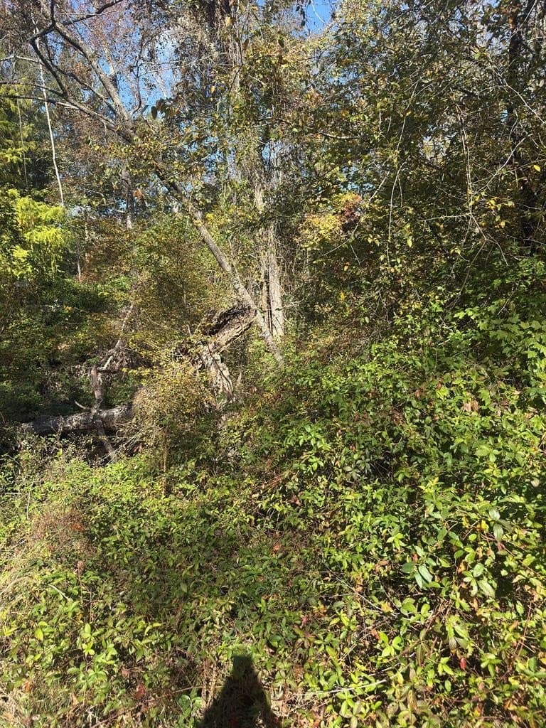 3.29 acres in ANDERSON County - photo 16