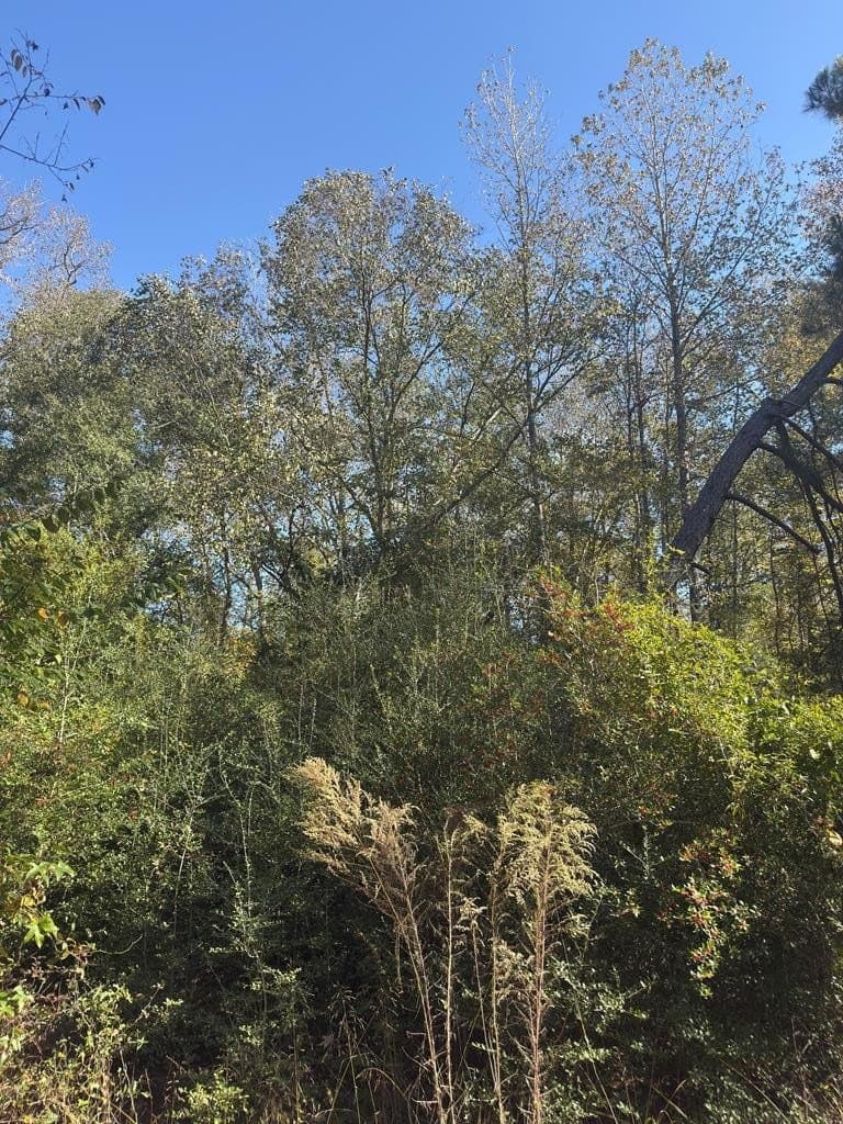 3.29 acres in ANDERSON County - photo 17