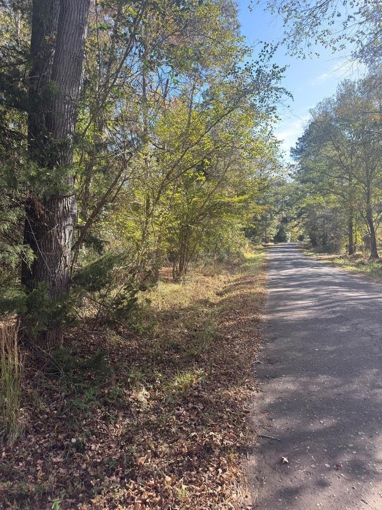 3.29 acres in ANDERSON County - photo 15