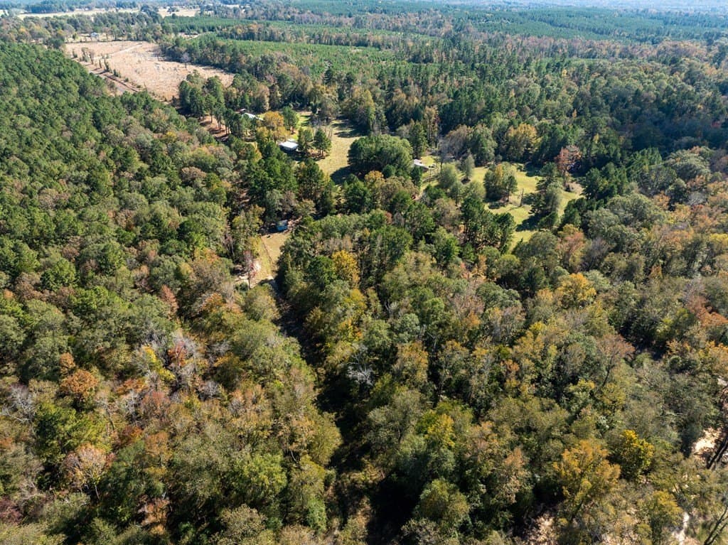 3.29 acres in ANDERSON County - photo 7