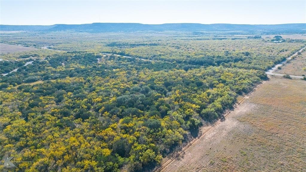 10 acres in Taylor County - photo 7