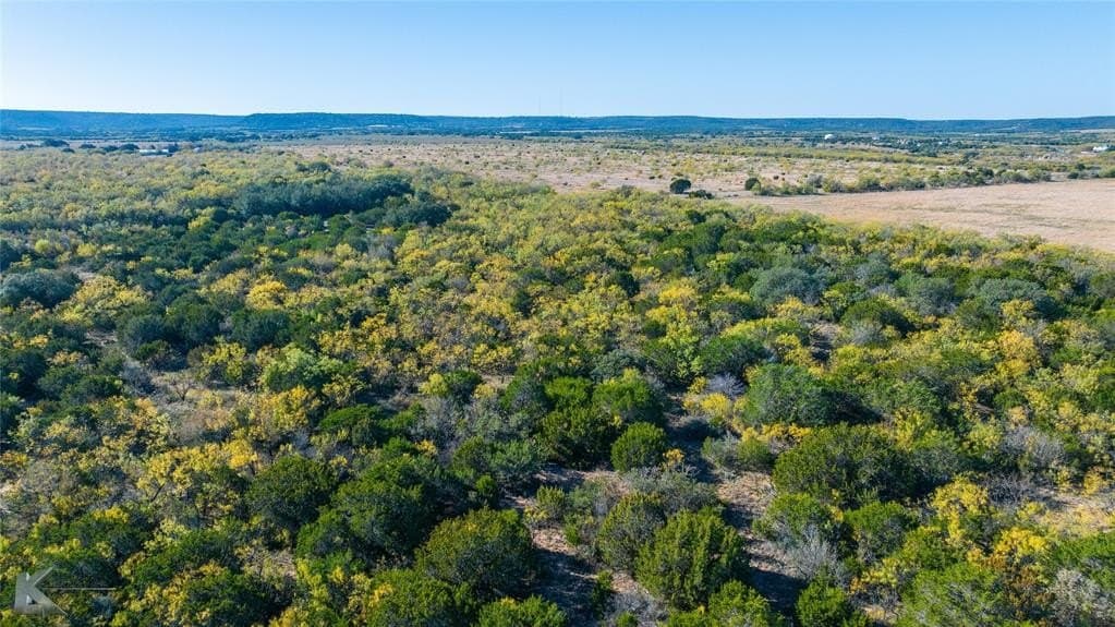 10 acres in Taylor County - photo 9