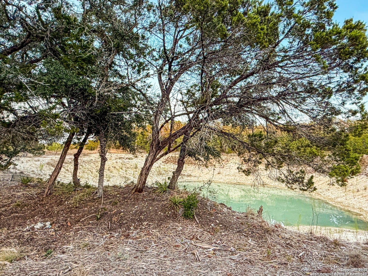 99.68 acres in Comal County - photo 5