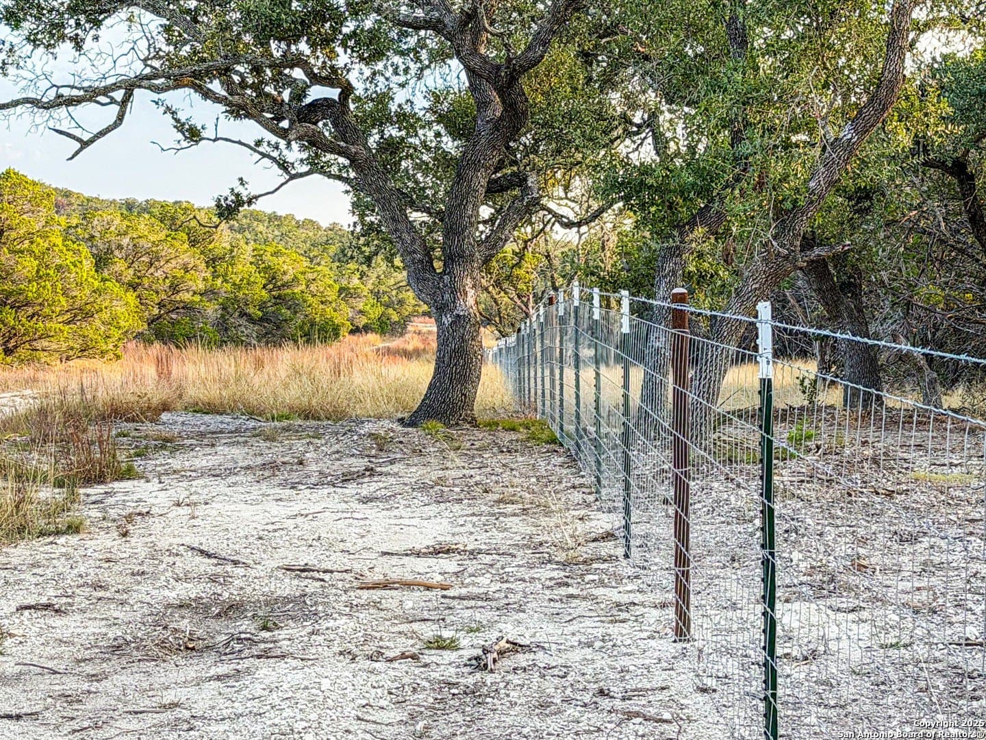 99.68 acres in Comal County - photo 4