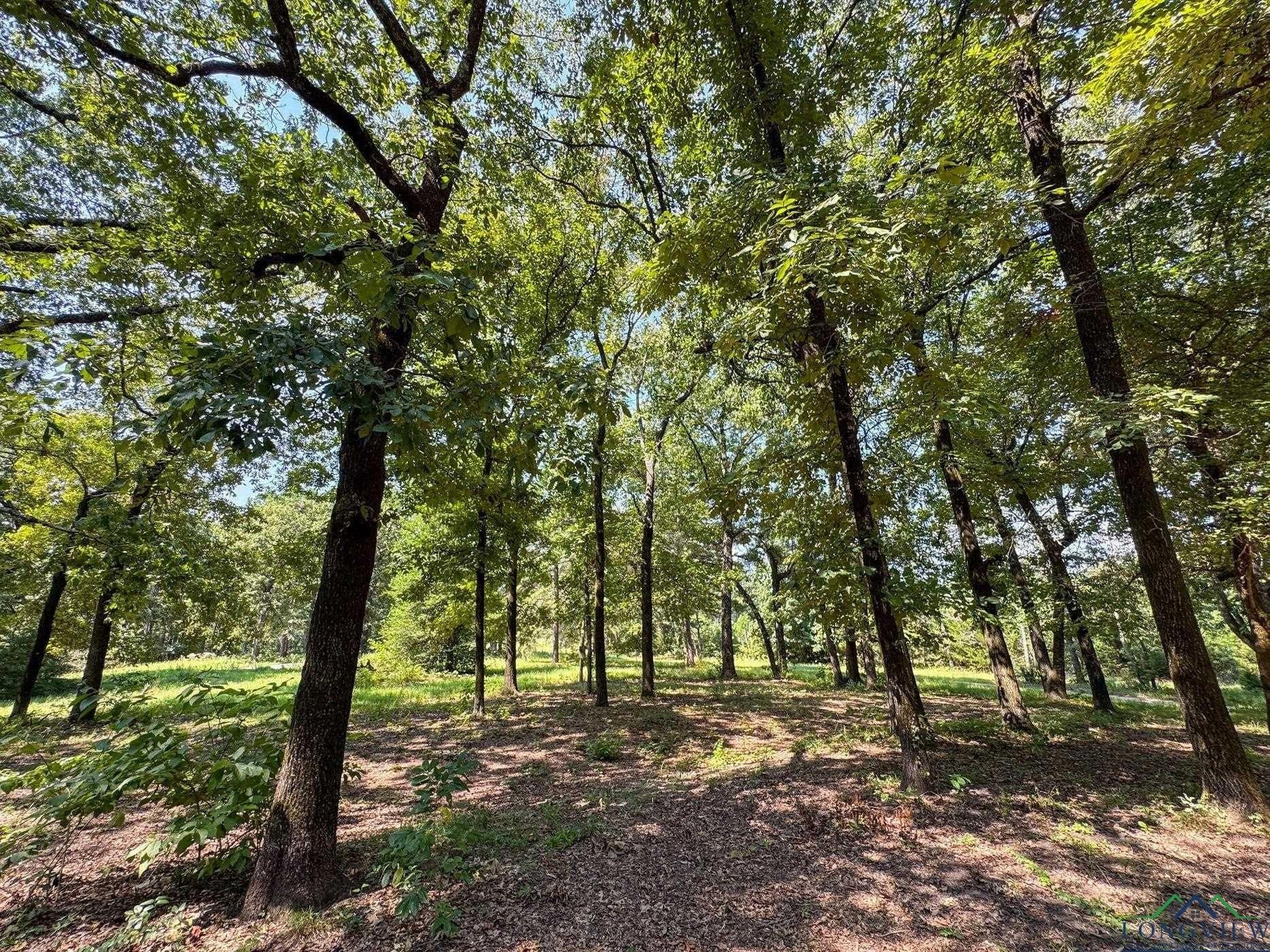 14.83 acres in Marion County - photo 45