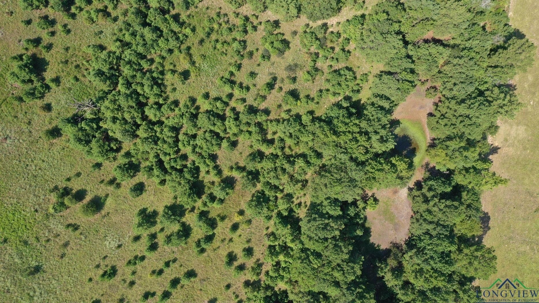 14.83 acres in Marion County - photo 43