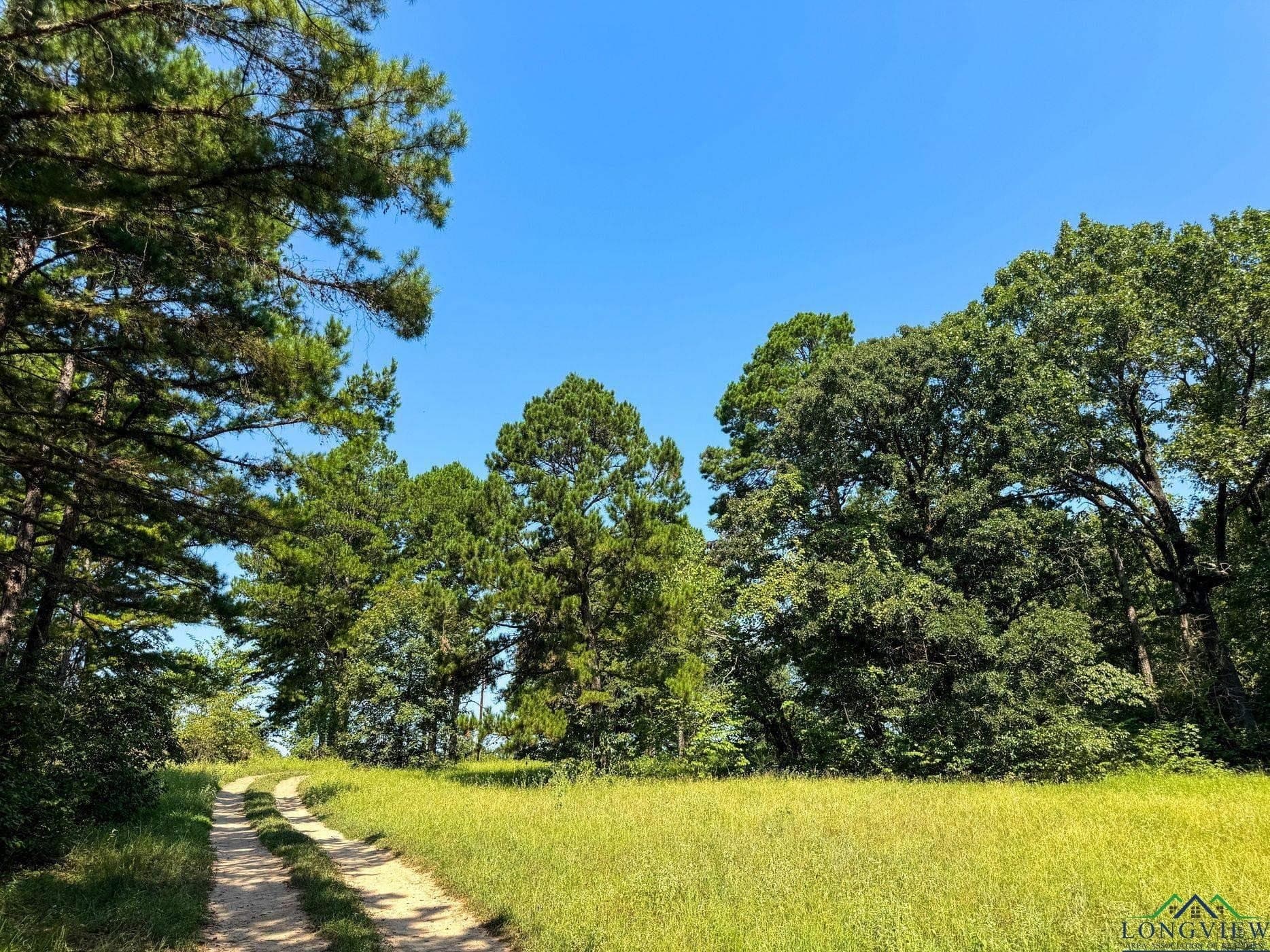 14.83 acres in Marion County - photo 49