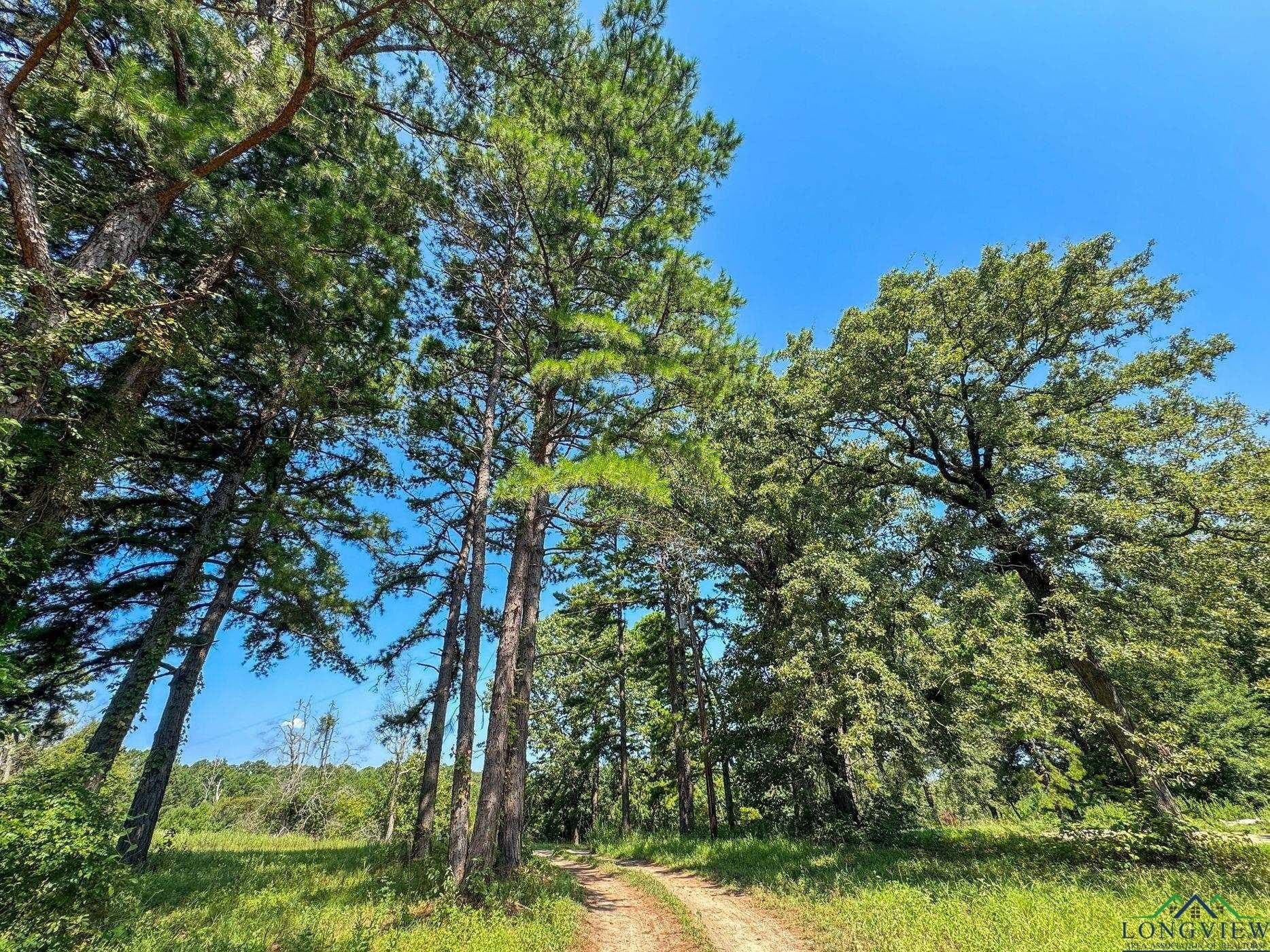14.83 acres in Marion County - photo 50