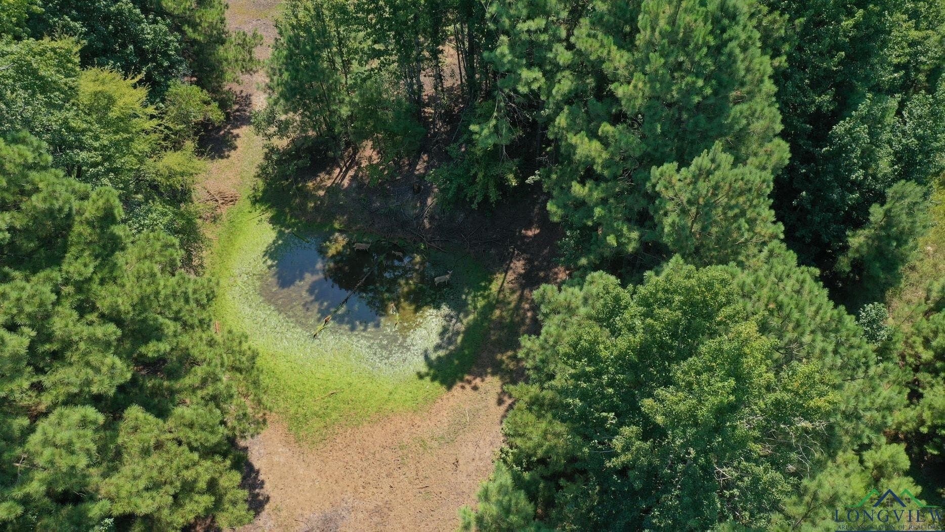 14.83 acres in Marion County - photo 42