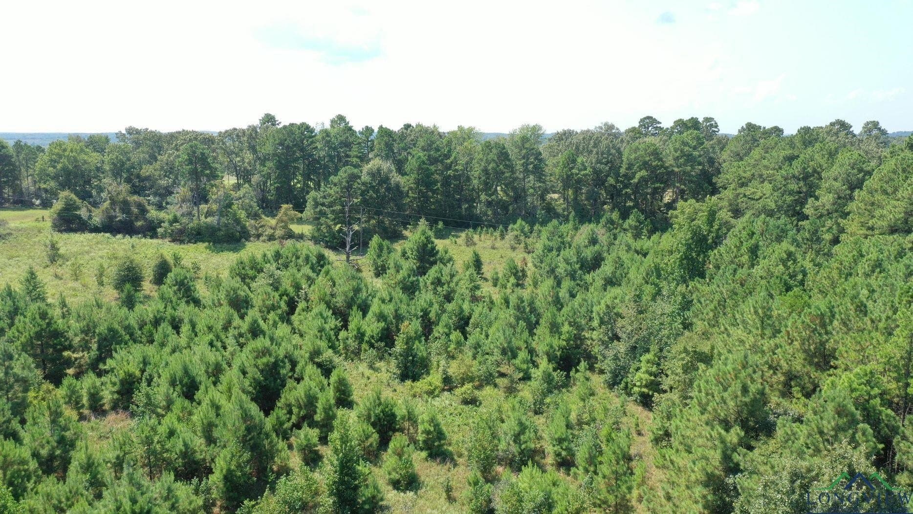 14.83 acres in Marion County - photo 40