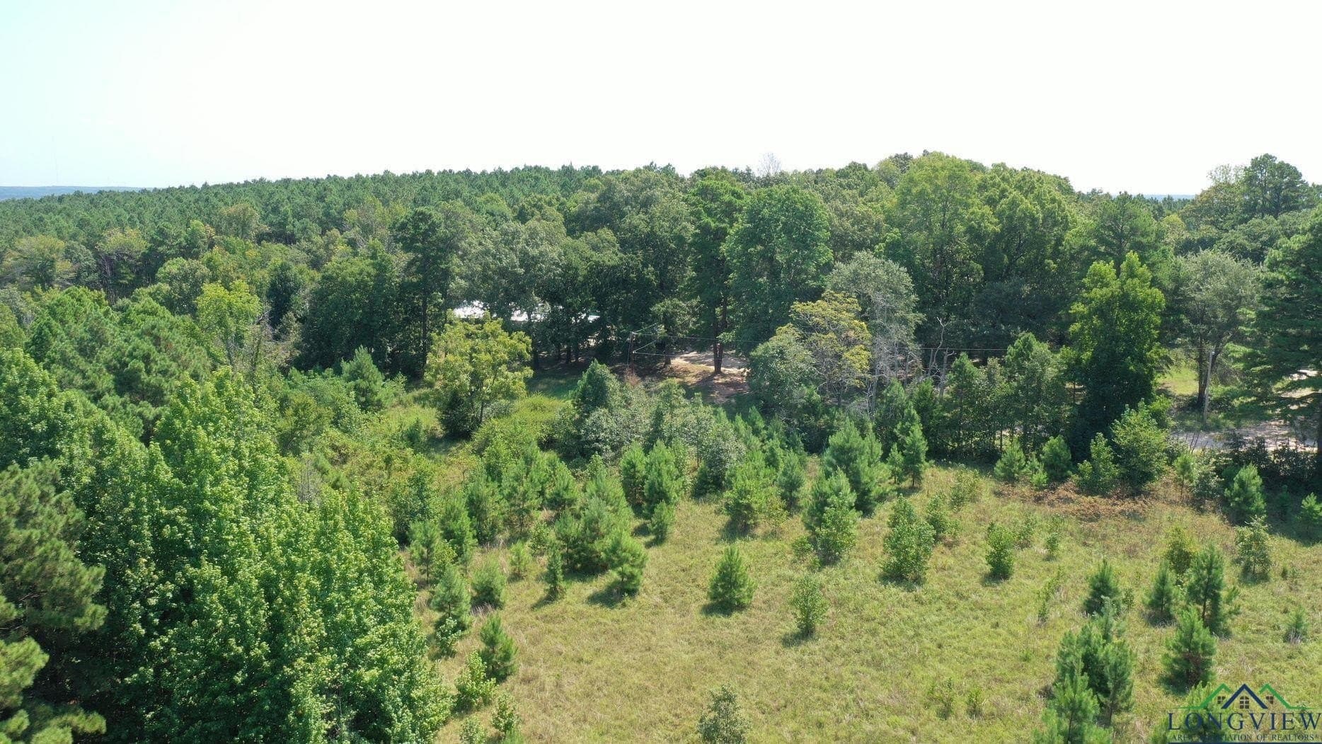 14.83 acres in Marion County - photo 41