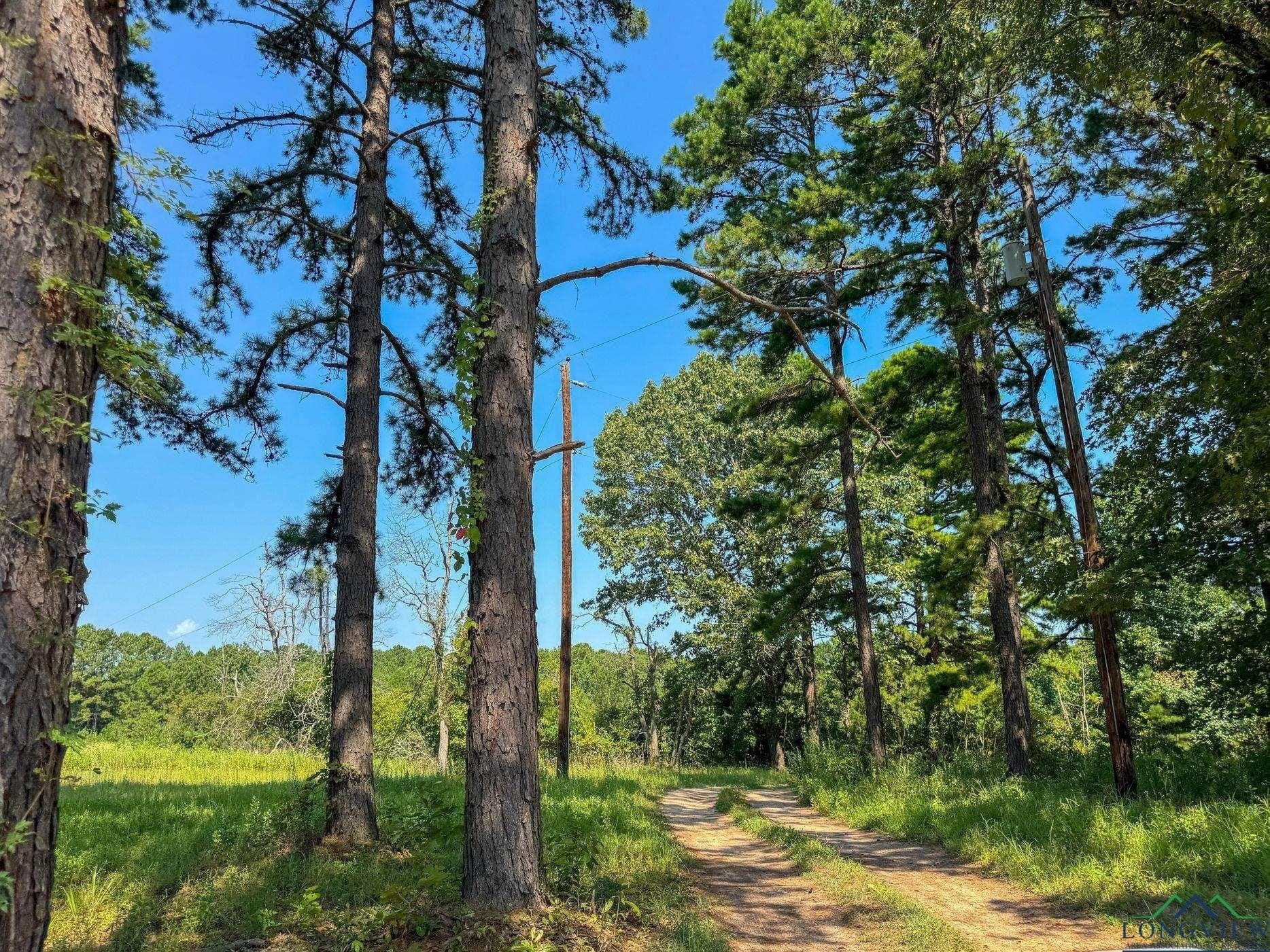 14.83 acres in Marion County - photo 46