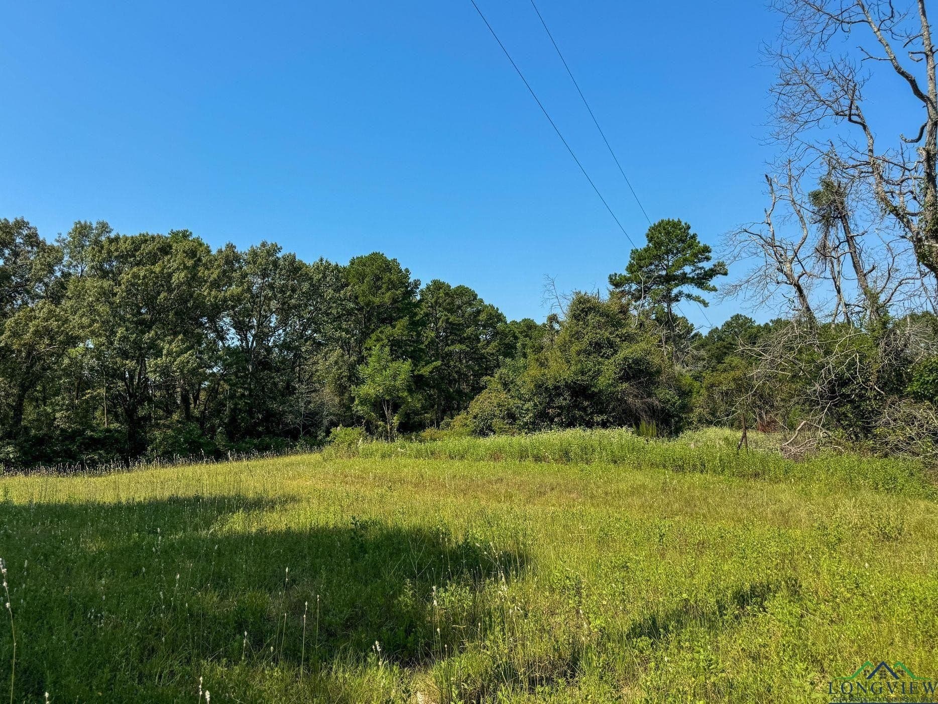 14.83 acres in Marion County - photo 44