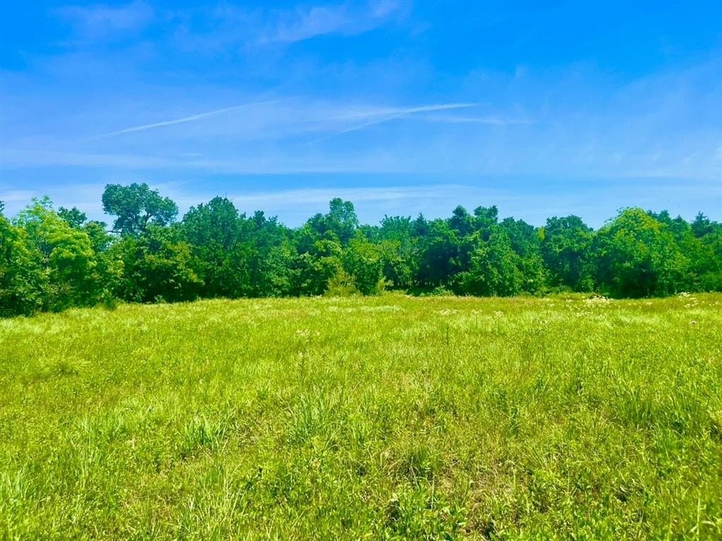 2.2 acres in Parker County - photo 2