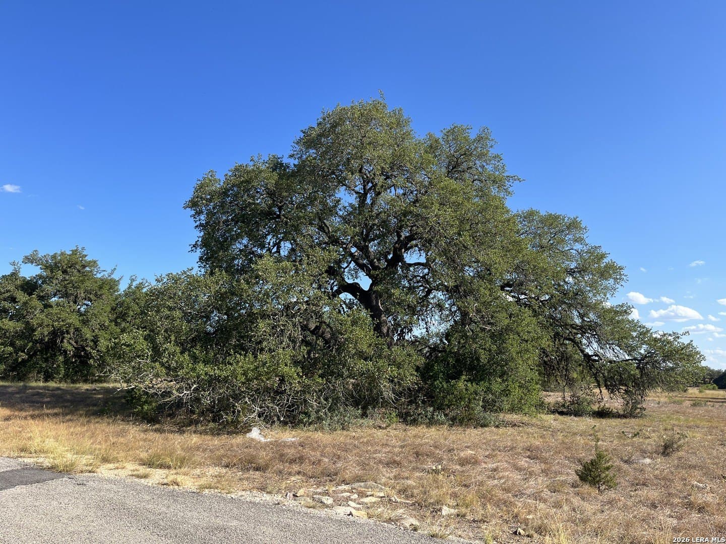 2 acres in Bandera County - photo 26