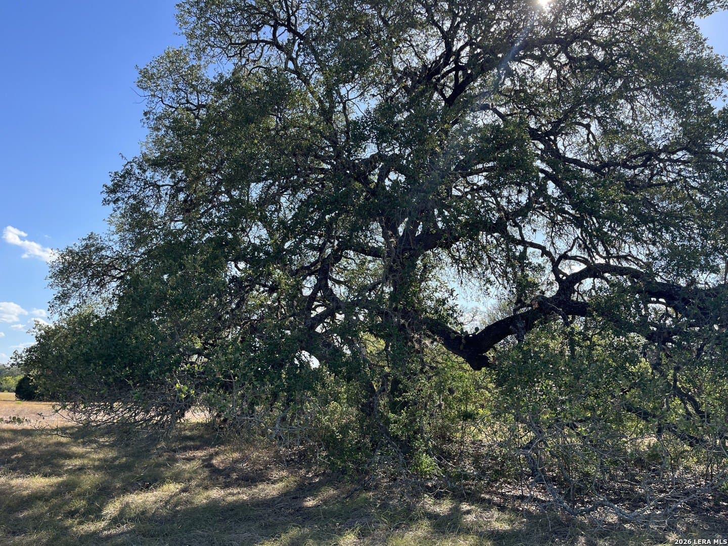 2 acres in Bandera County - photo 11